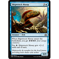Shipwreck Moray