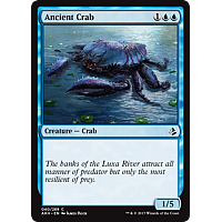 Ancient Crab