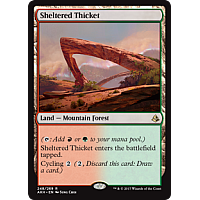 Sheltered Thicket