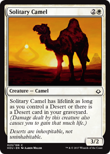 Solitary Camel_boxshot