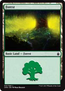 Forest_boxshot