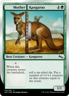 Mother Kangaroo_boxshot