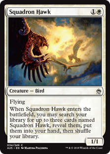 Squadron Hawk_boxshot