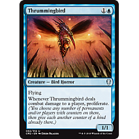 Thrummingbird