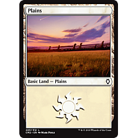 Plains