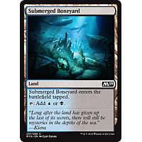 Submerged Boneyard