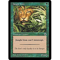 Jungle Lion