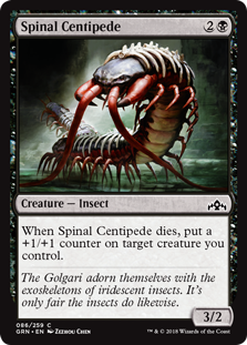 Spinal Centipede_boxshot