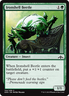 Ironshell Beetle_boxshot