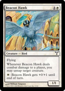 Beacon Hawk_boxshot
