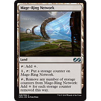 Mage-Ring Network