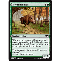Territorial Boar