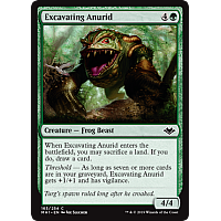 Excavating Anurid