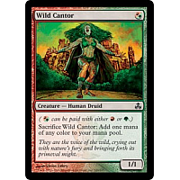 Wild Cantor