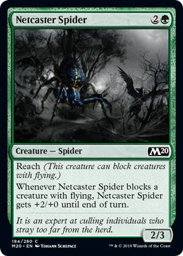 Netcaster Spider_boxshot