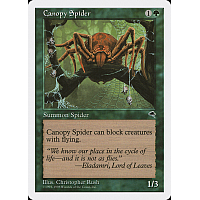 Canopy Spider