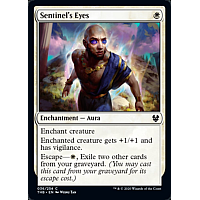 Sentinel's Eyes