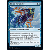 Triton Waverider