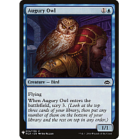 Augury Owl