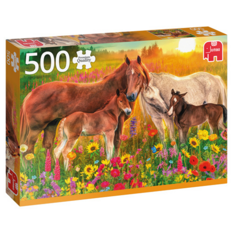 500 Bitar - Horses in the meadow_boxshot