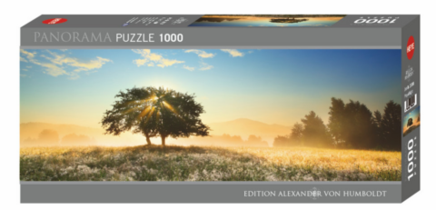 1000 Bitar - Play of Light, Edition Humboldt Panorama_boxshot