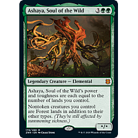 Ashaya, Soul of the Wild