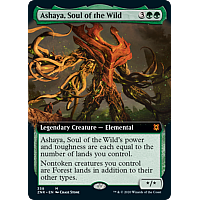 Ashaya, Soul of the Wild (Extended art)