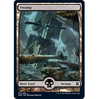 Swamp (Full Art) (Foil)