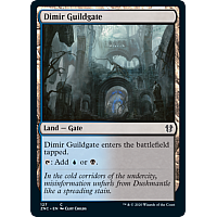 Dimir Guildgate