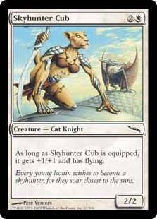 Skyhunter Cub_boxshot