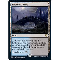 Choked Estuary