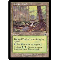 Tranquil Thicket