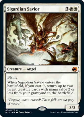 Sigardian Savior_boxshot