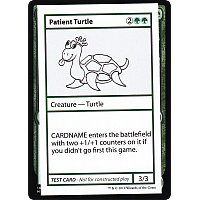 Patient Turtle