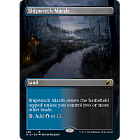 Shipwreck Marsh (Borderless)