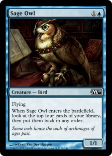Sage Owl_boxshot