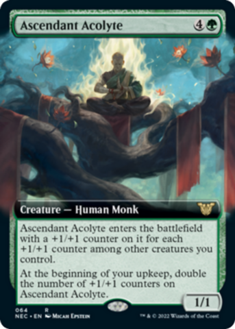 Ascendant Acolyte (Extended Art)_boxshot