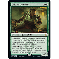 Caldaia Guardian (Foil)