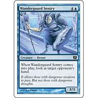 Wanderguard Sentry