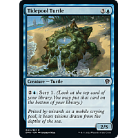 Tidepool Turtle