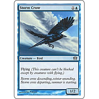 Storm Crow