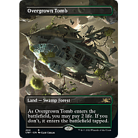 Overgrown Tomb (Foil) (Borderless)