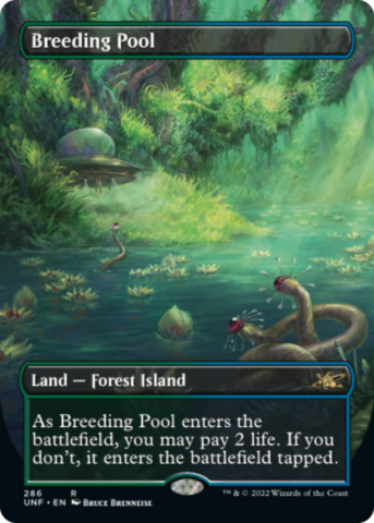 Breeding Pool (Foil) (Borderless)_boxshot