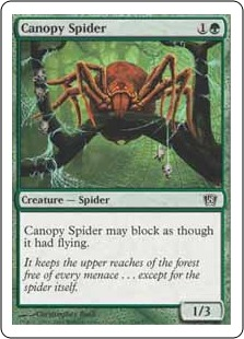 Canopy Spider_boxshot